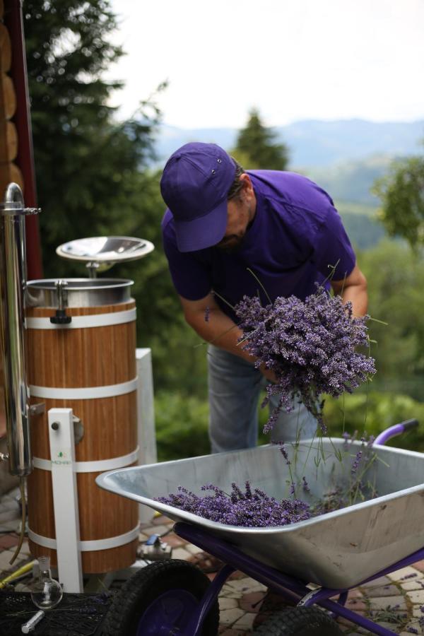 Lavender Valley Perekrestnoye Exterior photo